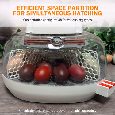 Nurture Right 360 Hatch Divider | Adjustable Incubator Divider for Multi-Species Hatching